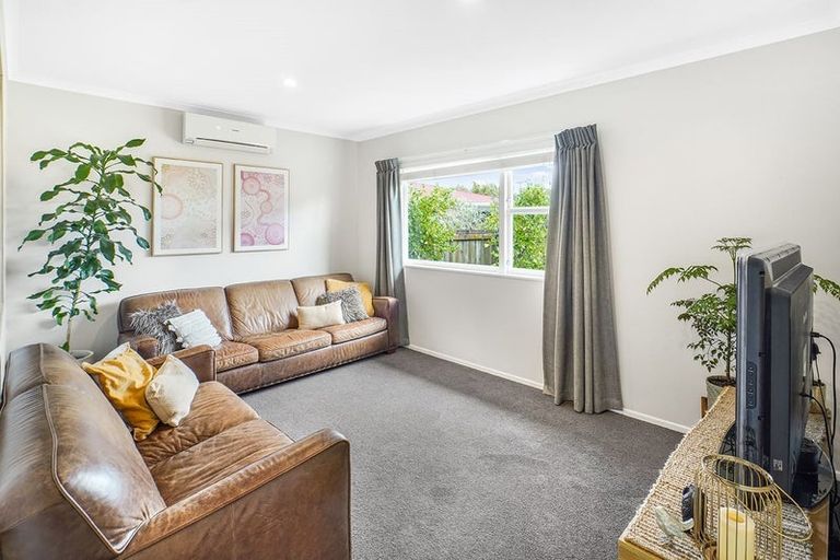 Photo of property in 22 Carlyle Avenue, Chartwell, Hamilton, 3210