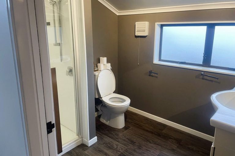 Photo of property in 119a Maxwells Line, Awapuni, Palmerston North, 4412
