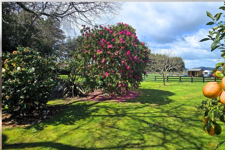 Photo of property in 314 Te Rahu Road, Poroporo, Whakatane, 3193