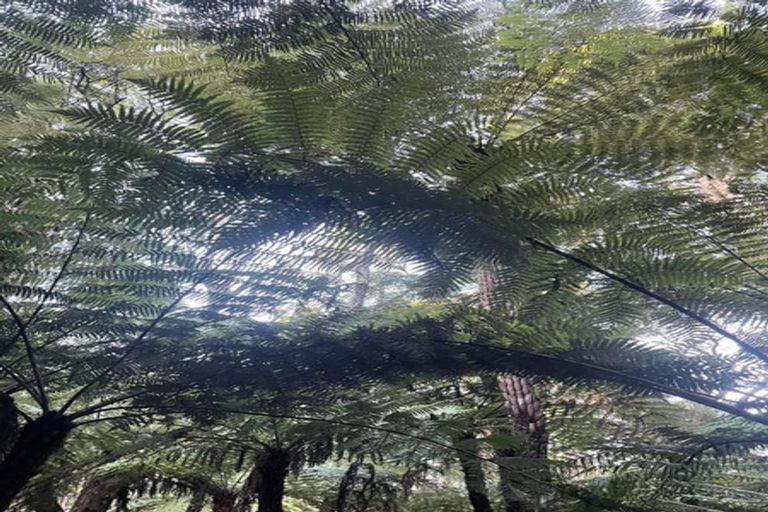 Photo of property in 165 Poyner Road, Makarau, Warkworth, 0981