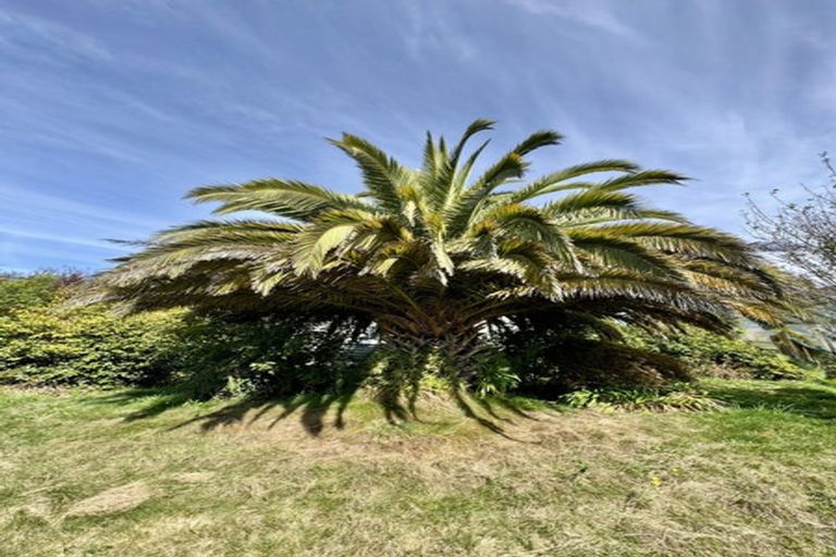 Photo of property in 28 Aynsley Street, Parkside, Timaru, 7910