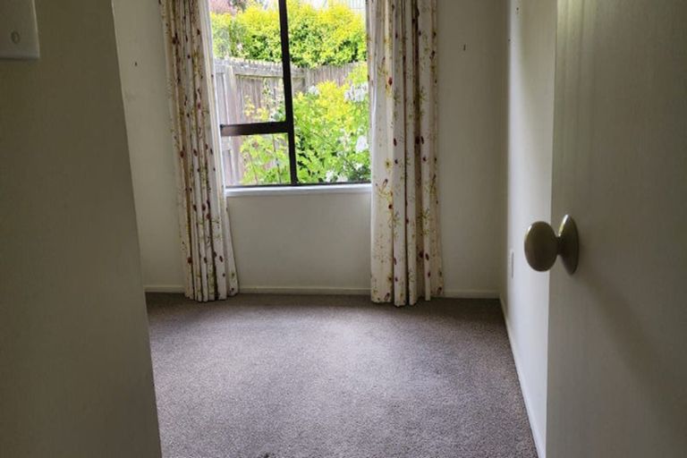 Photo of property in 29 Solway Avenue, Ilam, Christchurch, 8041