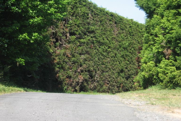 Photo of property in 48c Plummers Point Road, Whakamarama, Tauranga, 3172