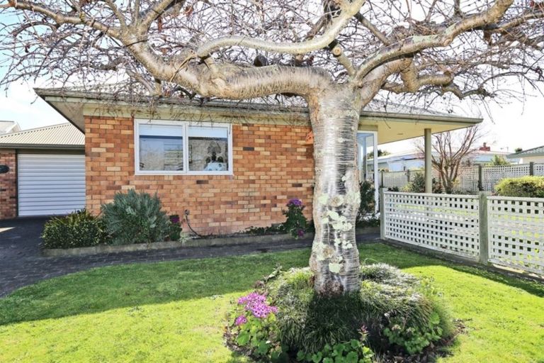 Photo of property in 34 Avondale Road, Taradale, Napier, 4112