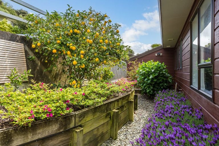 Photo of property in 5 The Marlinspike, Whitby, Porirua, 5024