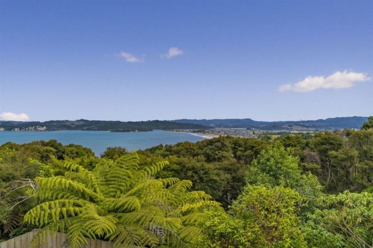 Photo of property in 14b Cooks Lookout, Whitianga, 3510