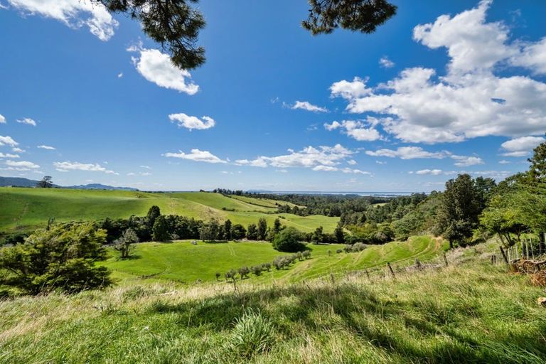 Photo of property in 424a Hot Springs Road, Tahawai, Katikati, 3178
