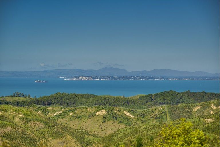 Photo of property in 438 Tangoio Settlement Road, Tangoio, Napier, 4181