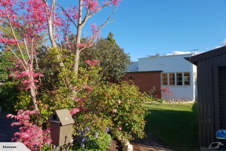 Photo of property in 12 Hosking Place, Masterton, 5810