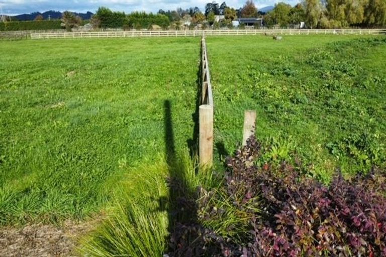 Photo of property in 38 Maungakawa Road, Cambridge, 3496