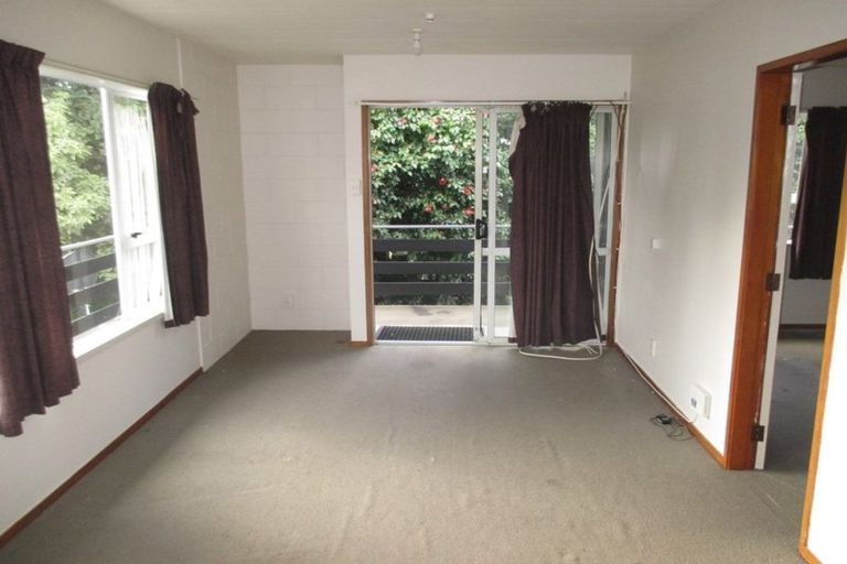 Photo of property in 17 Myrtle Street, Hamilton East, Hamilton, 3216