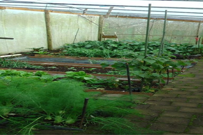 Photo of property in 103 Block Road, Hikutaia, Paeroa, 3674