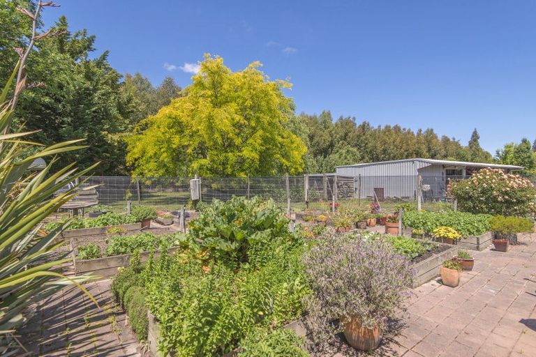 Photo of property in 76 Tancreds Road, Lincoln, Christchurch, 7672