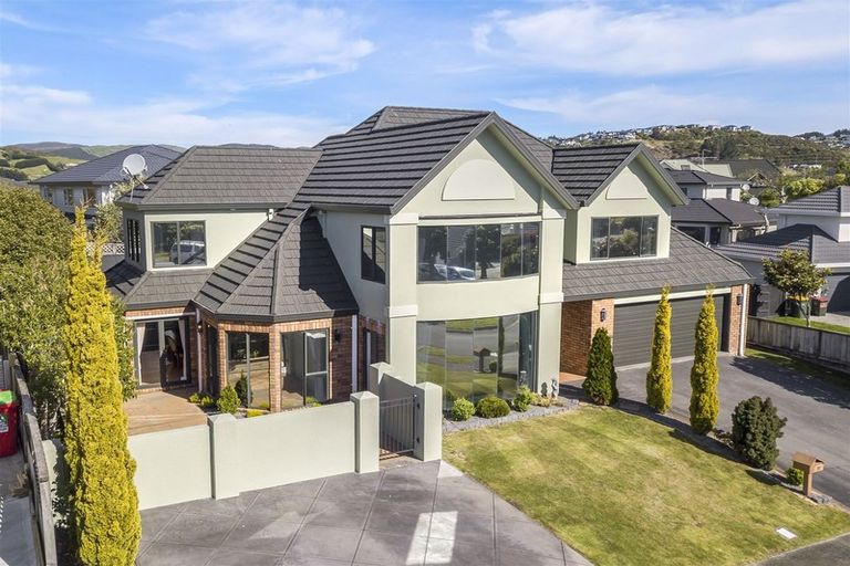 Photo of property in 30 Lanyon Place, Whitby, Porirua, 5024