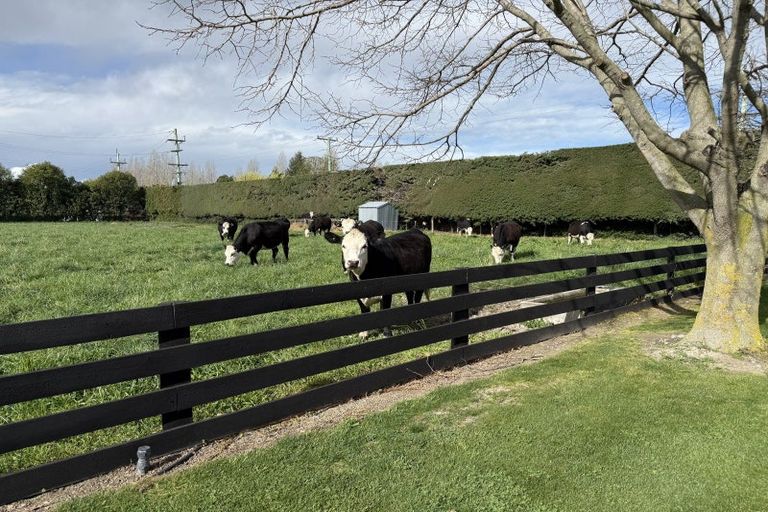 Photo of property in 82 Gartartan Road, Tinwald, Ashburton, 7774