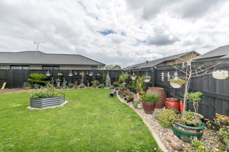Photo of property in 31 Ladeira Place, Fitzroy, Hamilton, 3206