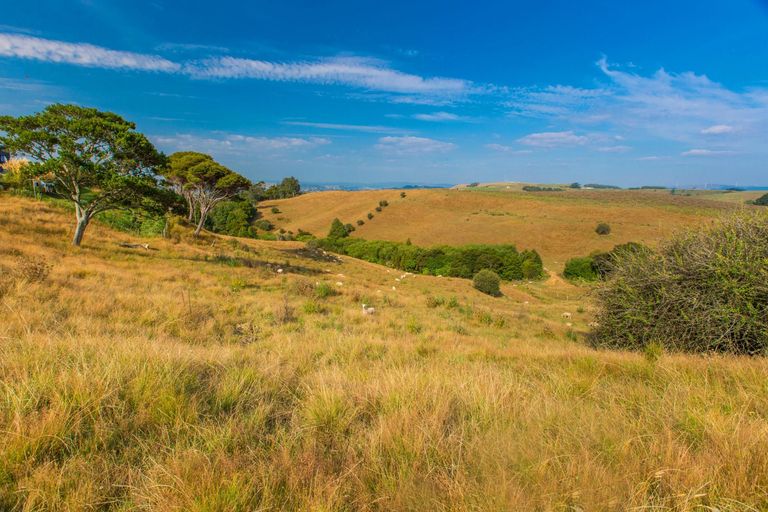 Photo of property in 81 Upper Wainui Road, Raglan, 3297