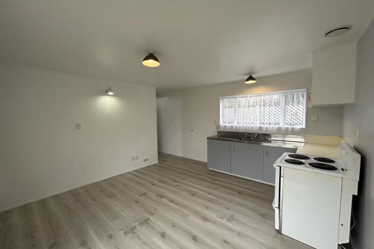 Photo of property in 38 Abbotsford Street, Whitiora, Hamilton, 3200