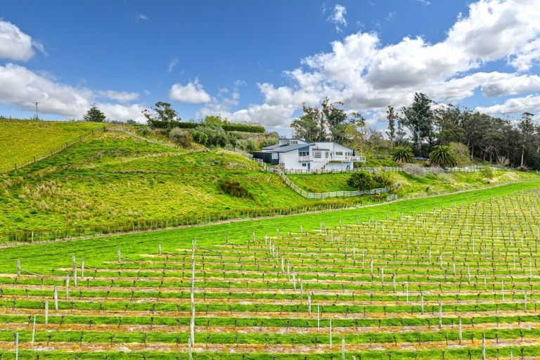 Photo of property in 21 Albany Lane, Havelock North, 4130