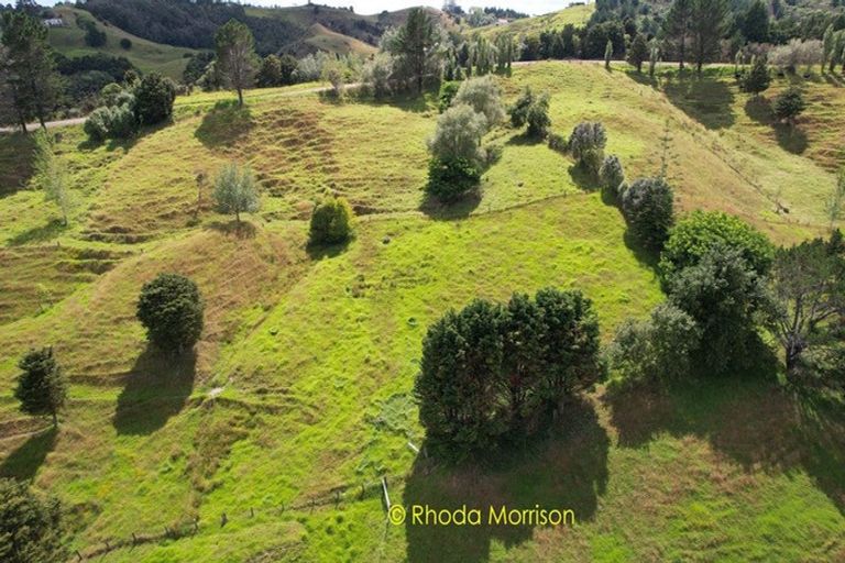 Photo of property in 330 Franklin Road, Paparoa, 0571