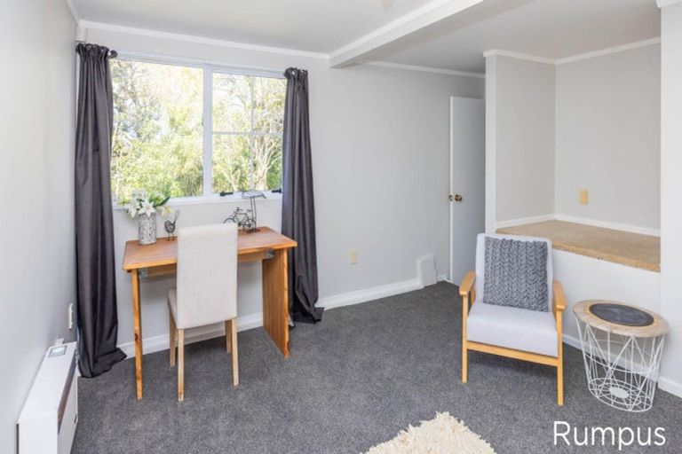 Photo of property in 196 Dinsdale Road, Dinsdale, Hamilton, 3204