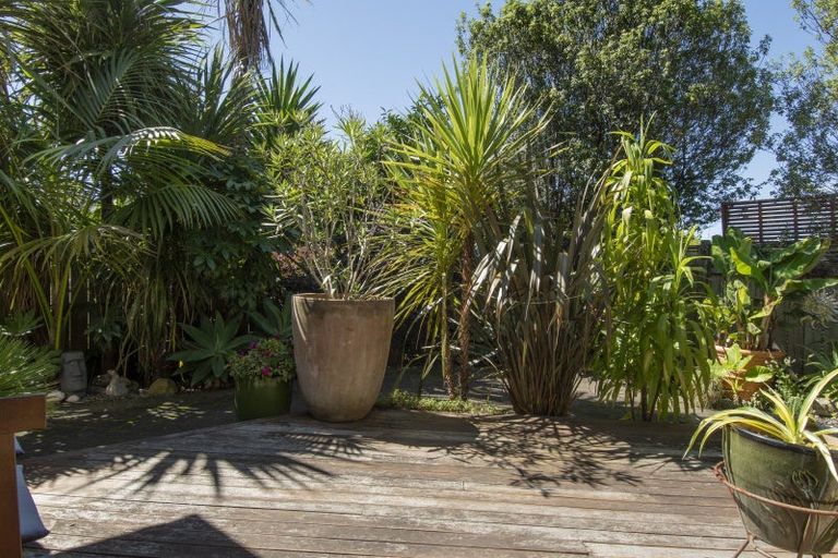 Photo of property in 36a Maihi Crescent, Maungatapu, Tauranga, 3112