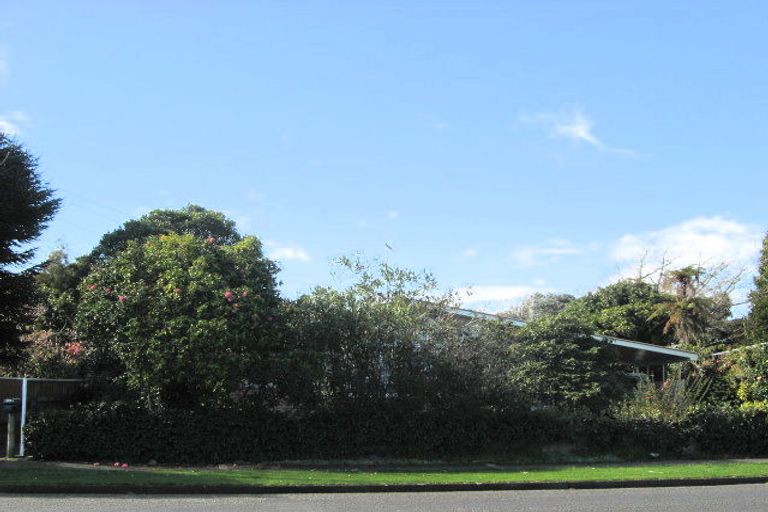 Photo of property in 33 Macarthur Street, Levin, 5510