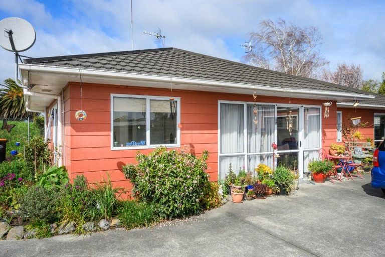 Photo of property in 48 Botanical Road, Takaro, Palmerston North, 4412