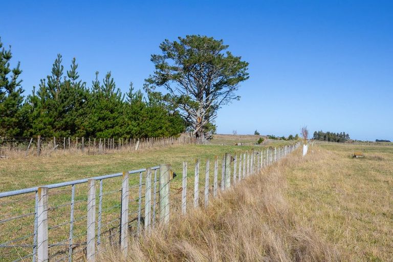 Photo of property in 177 Downs Road, Geraldine Downs, Geraldine, 7991