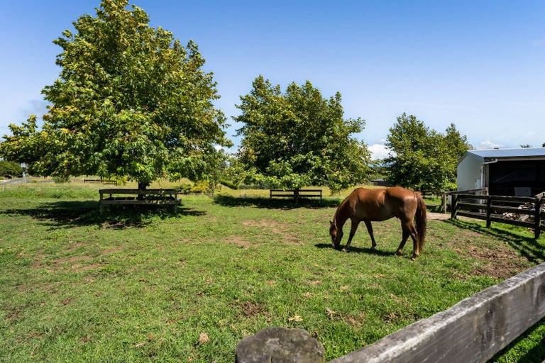 Photo of property in 88 Te Arei Road East, Lepperton, New Plymouth, 4373