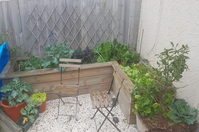 Photo of property in 1 Campbell Road, Mount Maunganui, 3116