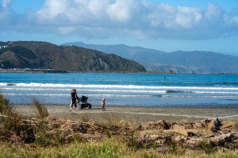 Photo of property in 113 Queens Drive, Lyall Bay, Wellington, 6022