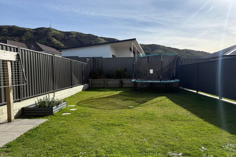 Photo of property in 77 Hokioi Drive, Kenepuru, Porirua, 5022