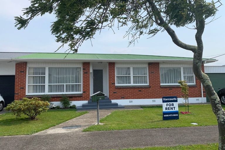 Photo of property in 23 Essex Street, Levin, 5510