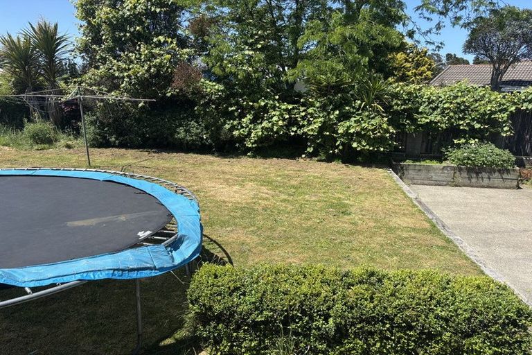 Photo of property in 163 Grampian Street, Tokoroa, 3420