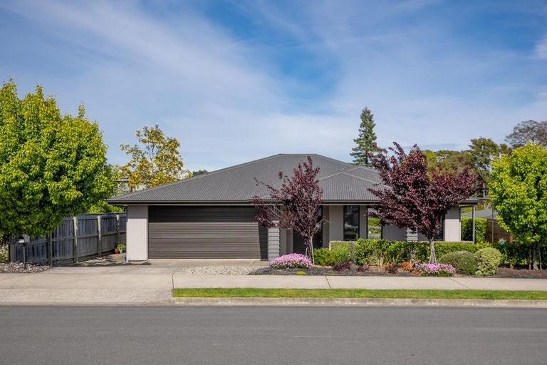 Photo of property in 54 Fairose Drive, Richmond, 7020