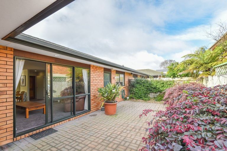 Photo of property in 54unit Elizabeth Street, Victoria, Rotorua, 3010