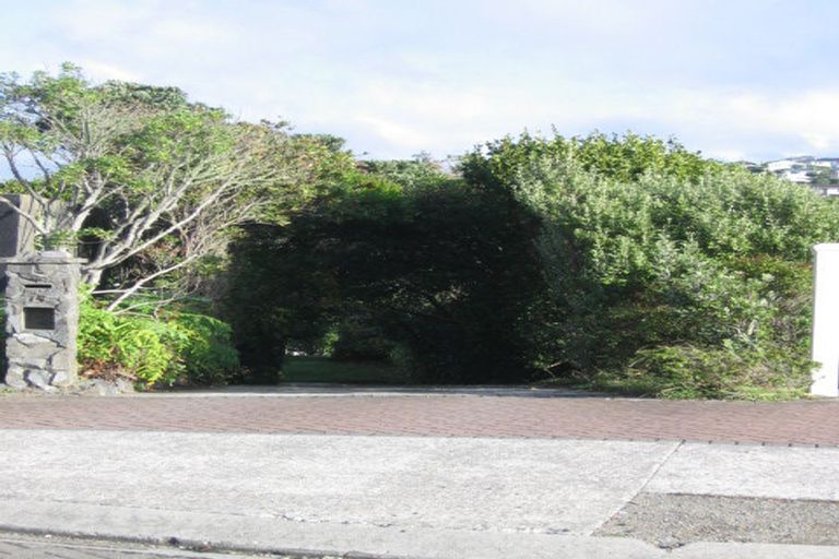 Photo of property in 13 Pelorous Street, Paparangi, Wellington, 6037