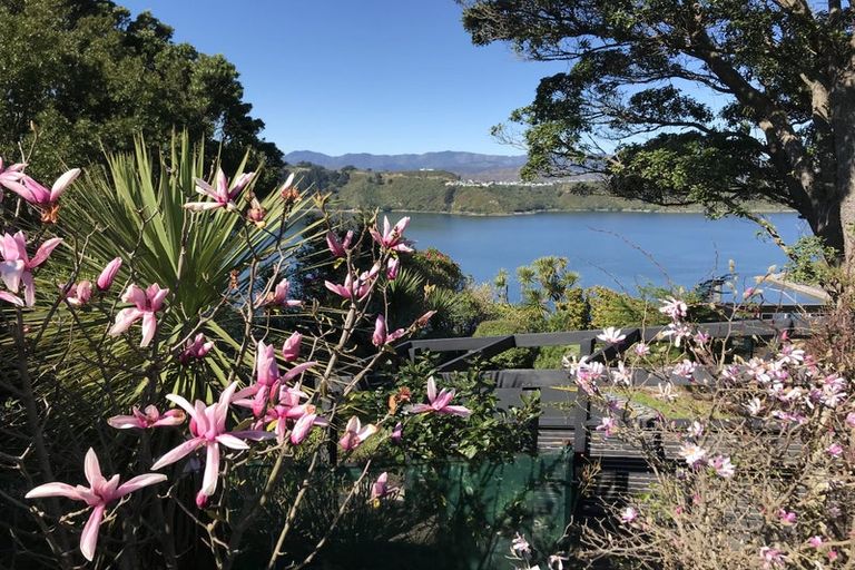 Photo of property in 45 The Crescent, Roseneath, Wellington, 6011