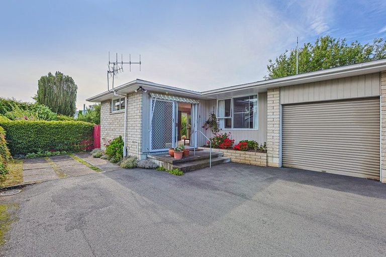 Photo of property in 3/7 Scannell Street, Havelock North, 4130