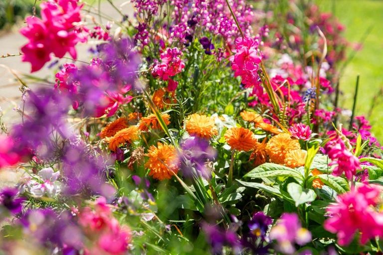 Photo of property in 68 Ocean Road, Paraparaumu Beach, Paraparaumu, 5032