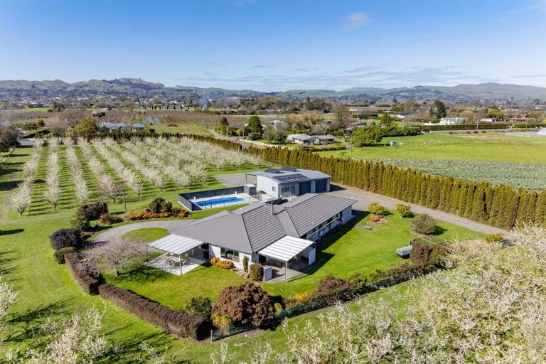 Photo of property in 1280 Howard Street, Parkvale, Hastings, 4122