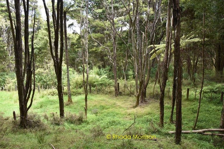 Photo of property in 330 Franklin Road, Paparoa, 0571