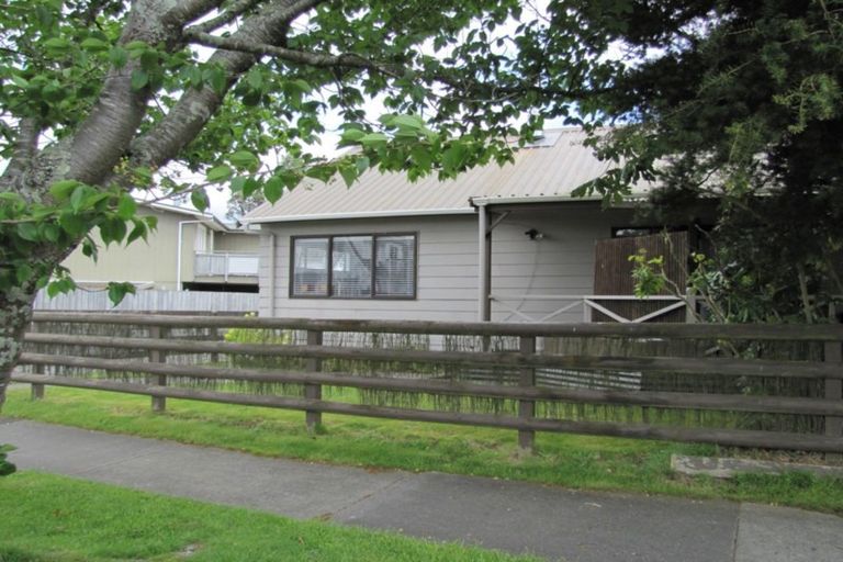 Photo of property in 36 Rotokawa Street, Taupo, 3330
