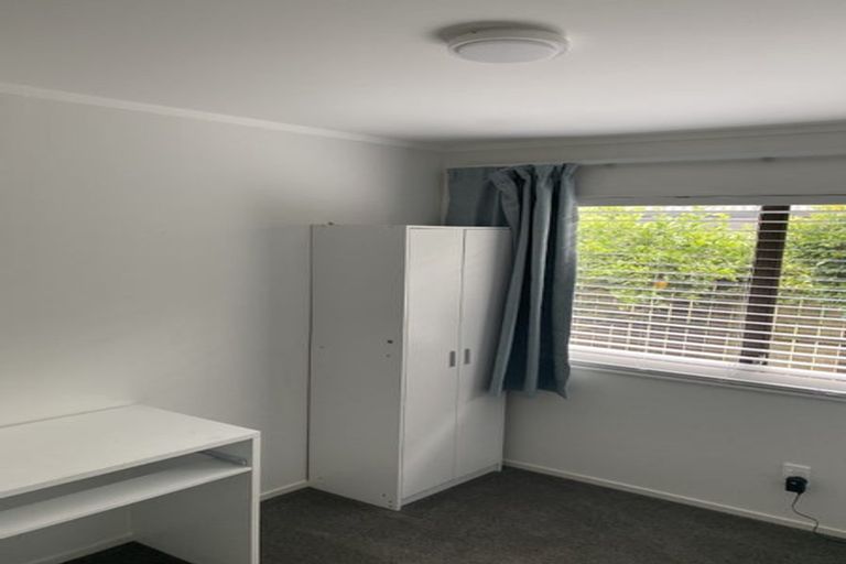 Photo of property in 15 Domain Road, Papamoa Beach, Papamoa, 3118