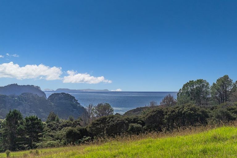 Photo of property in 425n Boat Harbour Road, Whenuakite, Whitianga, 3591