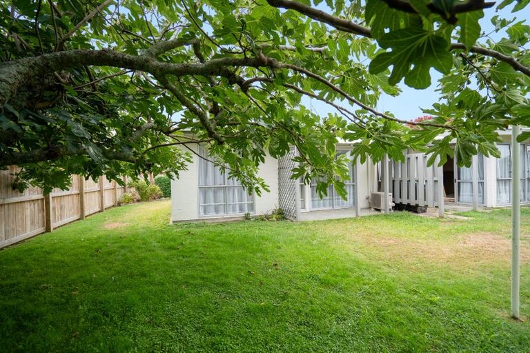 Photo of property in 66f Queen Street, Cambridge, 3434