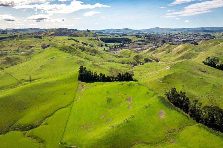 Photo of property in 226 Ongaonga Road, Waipawa, 4272