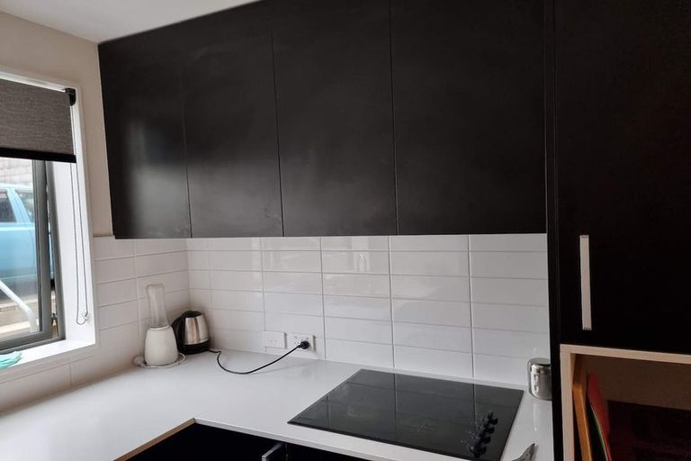 Photo of property in 24u9 Princess Terrace, Newtown, Wellington, 6021