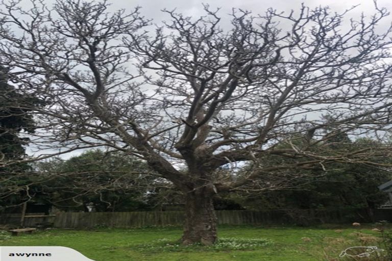 Photo of property in 20 Main Street, Greytown, 5712